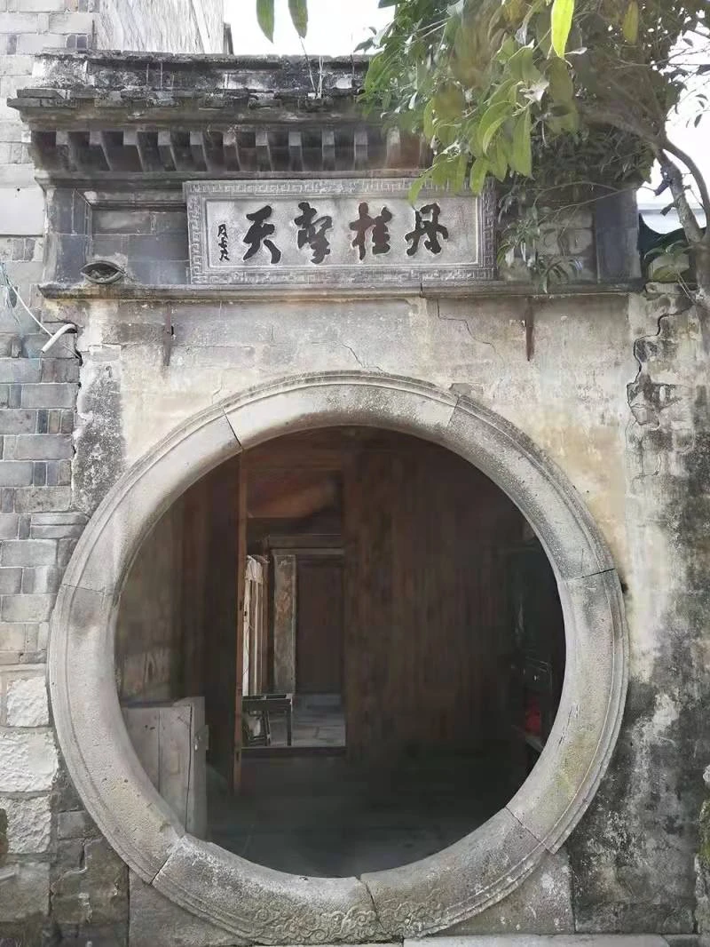 五姑娘影视